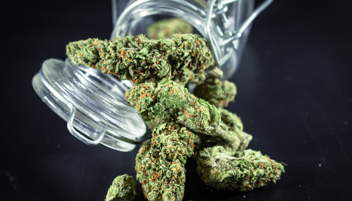 How to Store Cannabis Flower to Keep It Fresh and Potent?